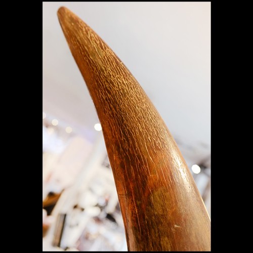 Tusk on Black Wooden Base PC-Straight Mammoth Tusk