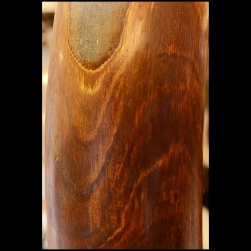 Tusk on Black Wooden Base PC-Straight Mammoth Tusk