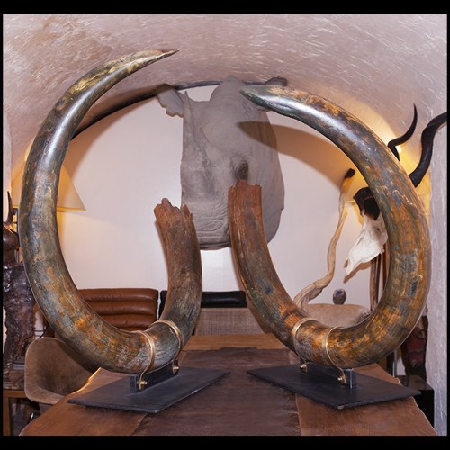 Tusks king size PC-Mammoth Pair Big