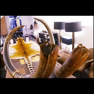 Défenses grande taille PC-Mammoth Pair Big