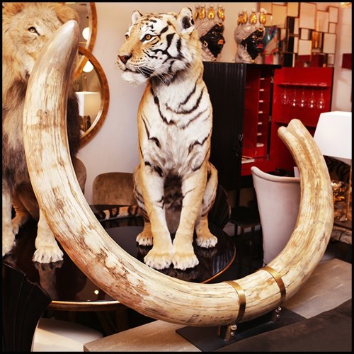 Tusk in pure ivory PC-Mammoth Pure Ivory Big