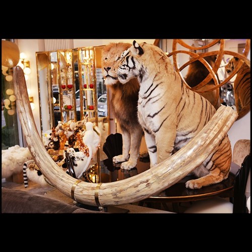 Tusk in pure ivory PC-Mammoth Pure Ivory Big