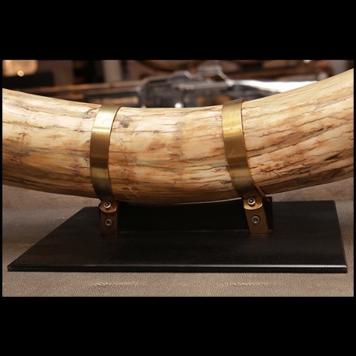 Tusk in pure ivory PC-Mammoth Pure Ivory Big