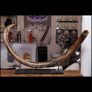 Tusk meticulously restored PC-Mammoth Tusk Single Large