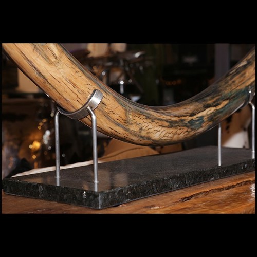 Tusk meticulously restored PC-Mammoth Tusk Single Large