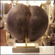 Sculpture on polished brass base PC-Real Coconut from Praslin