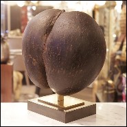 Sculpture sur base en laiton poli PC-Real Coconut from Praslin
