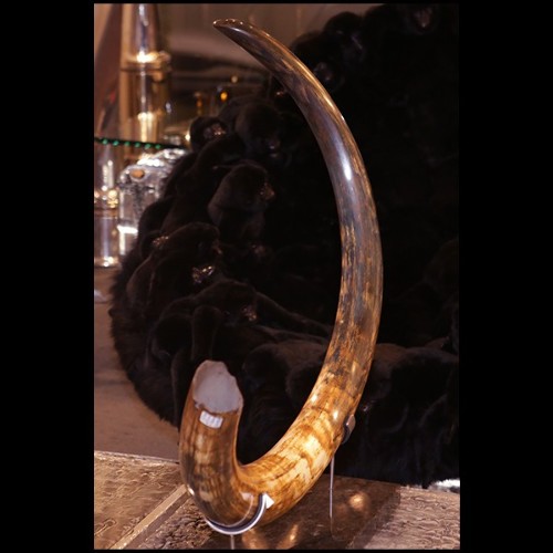 Défense méticuleusement restaurée PC-Mammoth Medium Dark and Clear Beige