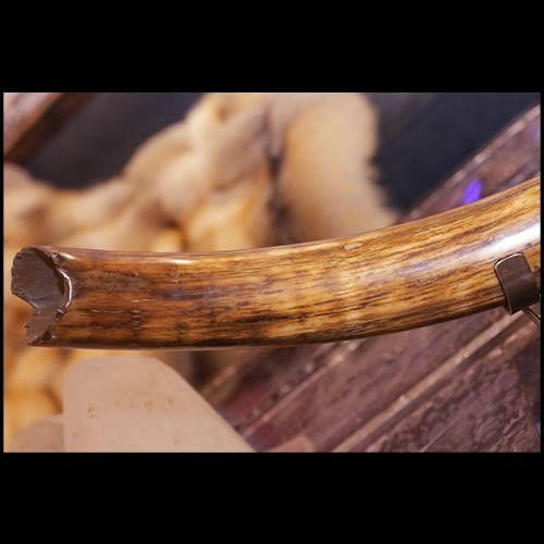 Défense méticuleusement restaurée PC-Mammoth Medium Dark and Clear Beige