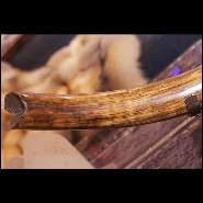 Défense méticuleusement restaurée PC-Mammoth Medium Dark and Clear Beige