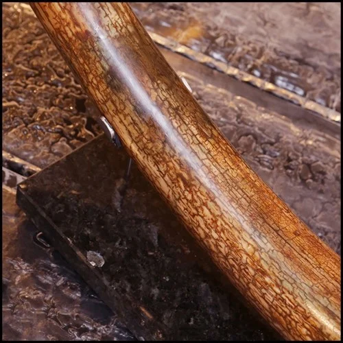 Tusk meticulously restored PC-Mammoth Medium Dark Brown