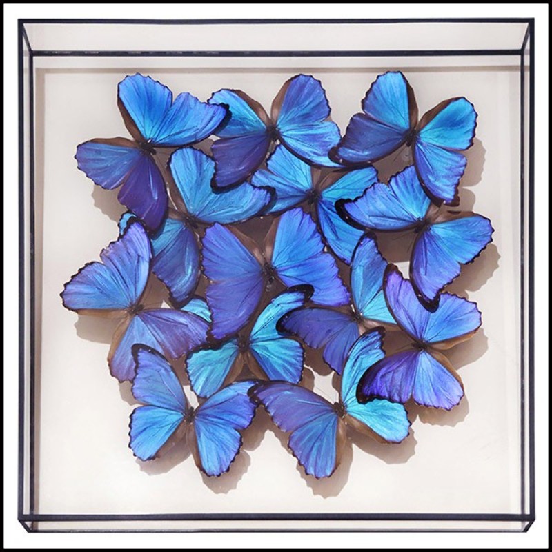 Décoration murale avec de vrais papillons Morphos PC-Morphos Butterflies Medium