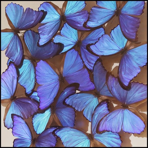 Décoration murale avec de vrais papillons Morphos PC-Morphos Butterflies Medium