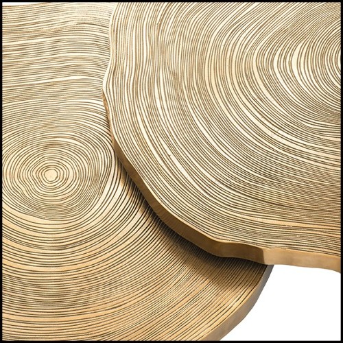 Coffee Table in wood with top in brass finish 24-Thousand Oaks Set of 2