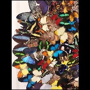 Wall Decoration made with rare butterflies species PC-Butterflies Multicolors