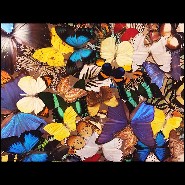 Décoration murale réalisée avec de véritables et rares papillons PC-Butterflies Multicolors