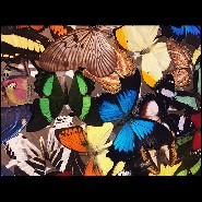Décoration murale réalisée avec de véritables et rares papillons PC-Butterflies Multicolors
