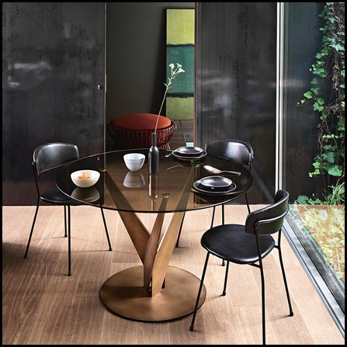 Table in brass and bronze with bronzed glass top 146-Ellipse Brass and Bronzed
