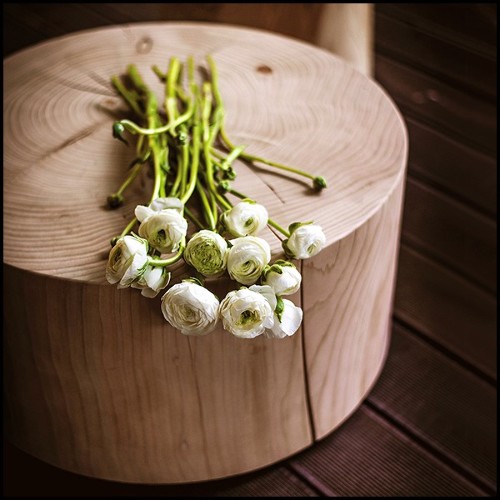 Table basse en cèdre massif 154-Block Cedar