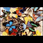 Wall Decoration under glass box frame PC-Butterflies Multicolors Medium