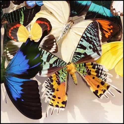 Décoration murale sous cadre en verre PC-Butterflies Multicolors Medium