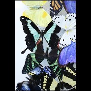 Décoration murale sur cadre en verre avec de véritable papillons multicolores PC-Double Chanel Butterflies