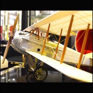 Plane 113-Old Charles