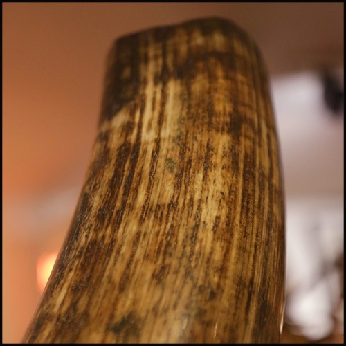 Tusk Mammoth brown ivory big with brown and dark brown colors with light blue reflects PC-Ivory Brown