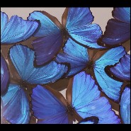 Wall Decoration PC- Papillons Morphos