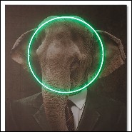 Décoration murale avec photo portrait d'éléphant sur toile et lumière LED néon 192-Elephant Neon