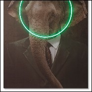 Wall decoration with Elephant portrait photo on canvas with green round LED neon 192-Elephant Neon