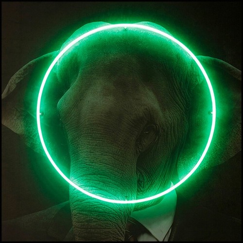 Décoration murale avec photo portrait d'éléphant sur toile et lumière LED néon 192-Elephant Neon