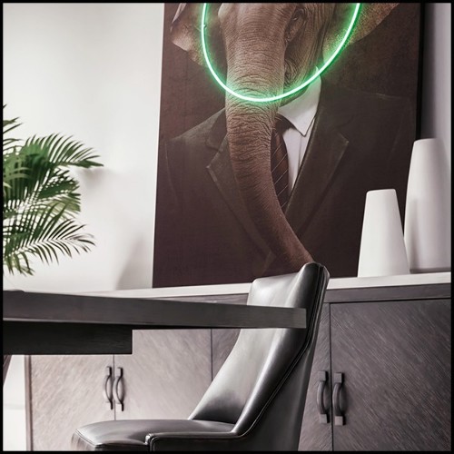 Décoration murale avec photo portrait d'éléphant sur toile et lumière LED néon 192-Elephant Neon
