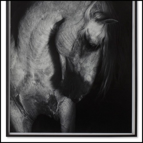 Décoration murale cheval blanc impression sur papier mat avec cadre en bois noir mat 192-Horse White