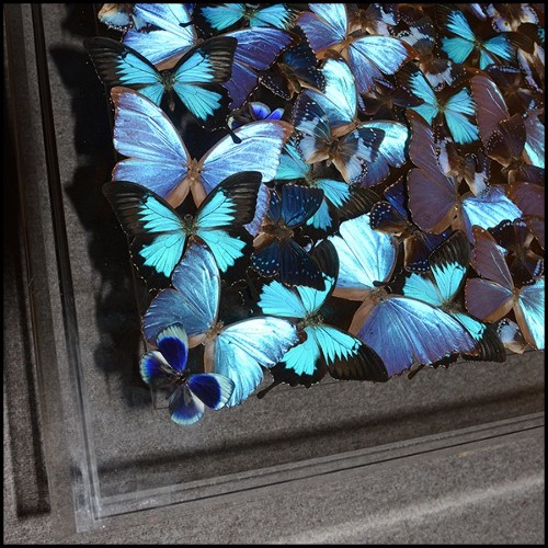 Table basse avec près de 330 papillons sous cadre en plexiglass et plateau en verre PC-Blue Butterflies