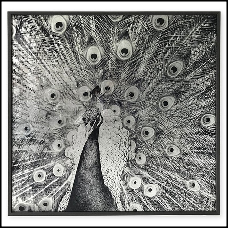 Print on acrylic photo with silver leaf highlights with blackened wood frame 192-Royal Peacock