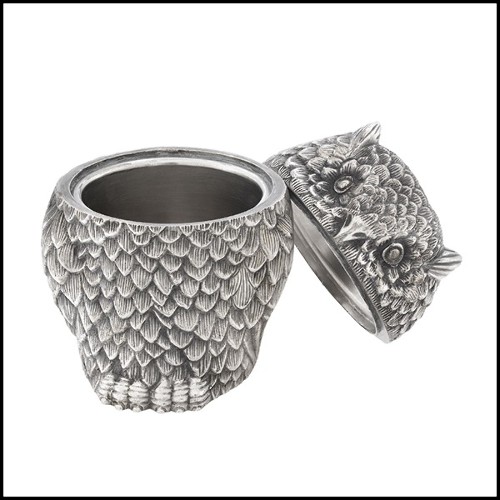 Box in brass with vintage silver plated finish 24-Owl