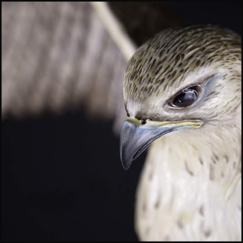 Sculpture Faucon en porcelaine et finition or 24k 196-Falcon Flying