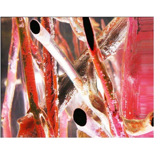 Bout de Canapé 31 - Kisimi Ice Fluo | Side Table Bleu Nature- Ice Fluo - Compact blue side table for living rooms - Pacific Comp