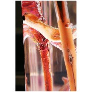 Bout de Canapé 31 - Kisimi Fluo - Table basse originale - Pacific Compagnie.