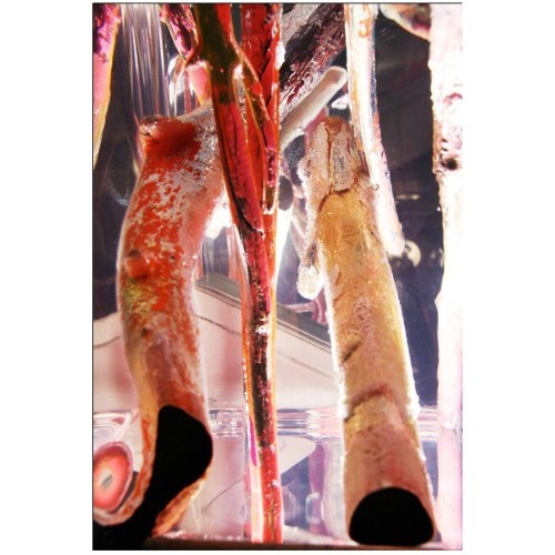 Bout de Canapé 31 - Kisimi Ice Fluo | Side Table Bleu Nature- Ice Fluo - Stylish compact side table in blue and fluo - Pacific C