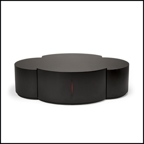 Table basse acajou avec tiroirs 119-Coccinelle