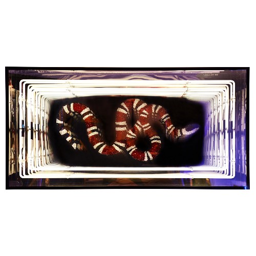 Wall decoration infiny mirrored effect with Gucci alike crystal snake PC-Snake Gucci