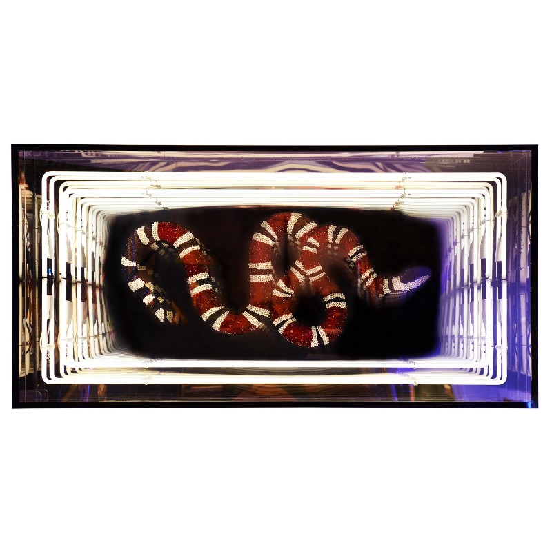Wall decoration infiny mirrored effect with Gucci alike crystal snake PC-Snake Gucci