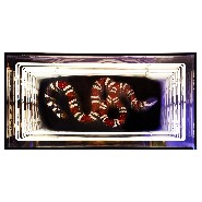 Wall decoration infiny mirrored effect with Gucci alike crystal snake PC-Snake Gucci