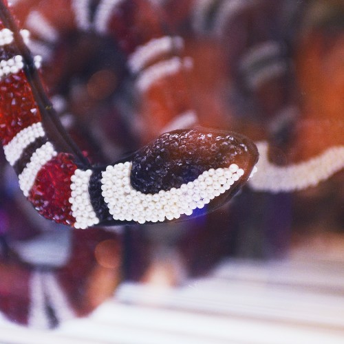 Décoration murale effet miroir infini et serpent style Gucci PC-Snake Gucci