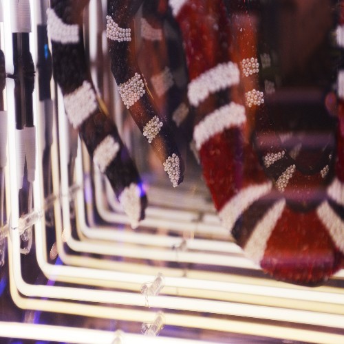 Wall decoration infiny mirrored effect with Gucci alike crystal snake PC-Snake Gucci