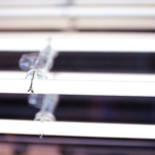 Décoration murale effet miroir infini et serpent style Gucci PC-Snake Gucci