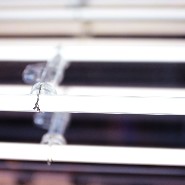 Décoration murale effet miroir infini et serpent style Gucci PC-Snake Gucci