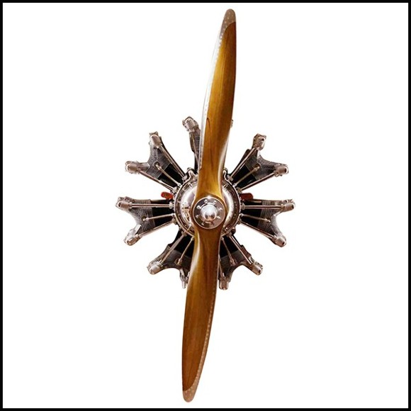 Wall decoration propeller and Jacob aircraft PC-Stellar Aircraft